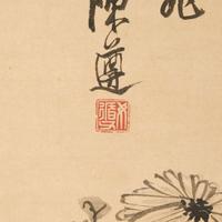 Chen Zun 陈遵 菊图 (Chinese)