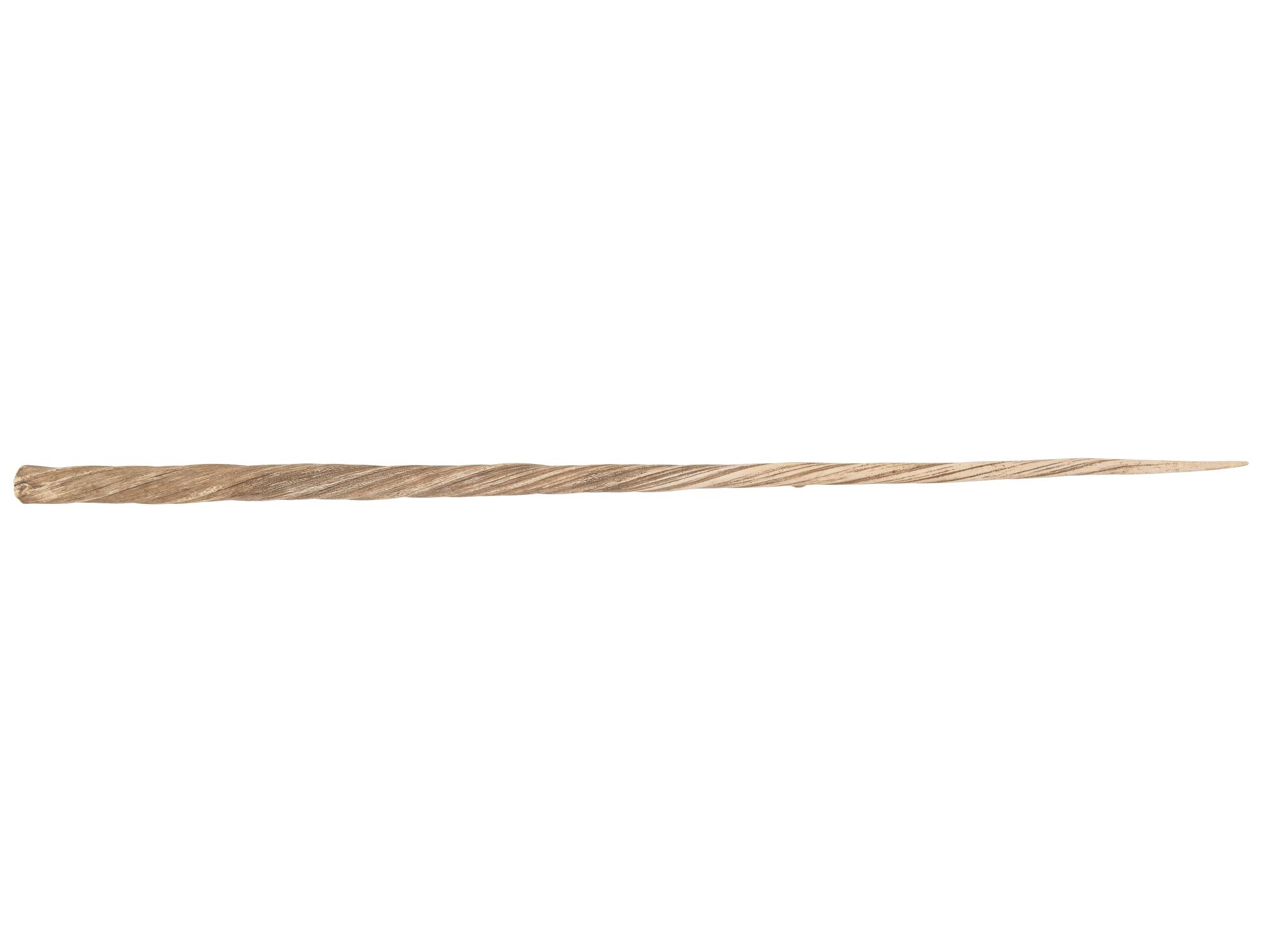 A Narwhal Tusk