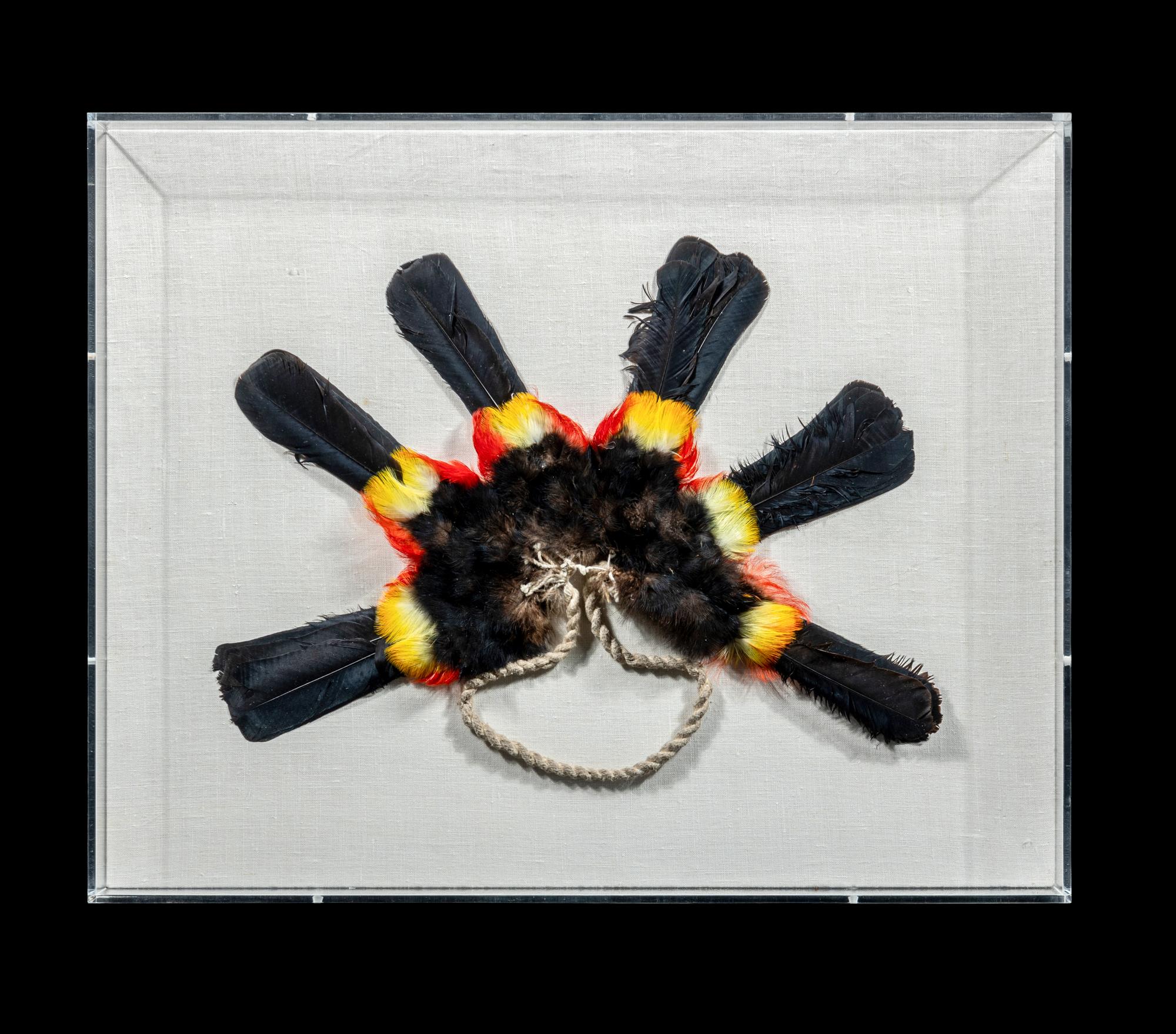 A Yanomami Feather Armband