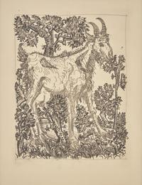 A group of six prints from L'Histoire Naturelle (Le Chevre (The Goat); Le Crapaud (The Toad); Le Chien (The Dog); Le Taupeau (The Bull); Le Dindon (The Turkey); L'Araignee (The Spider)) , 1942