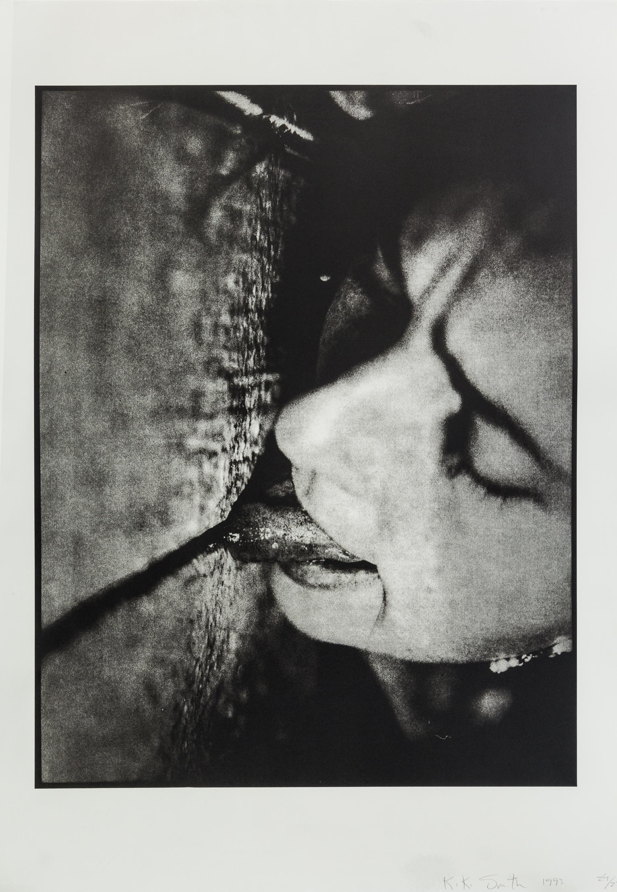 Kiki Smith, (American, b. 1954), My Secret Business, 1993
