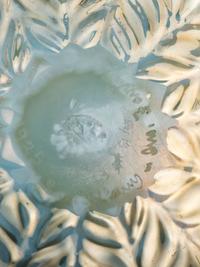 Pastel Bowl with Laurel Leaf Pattern