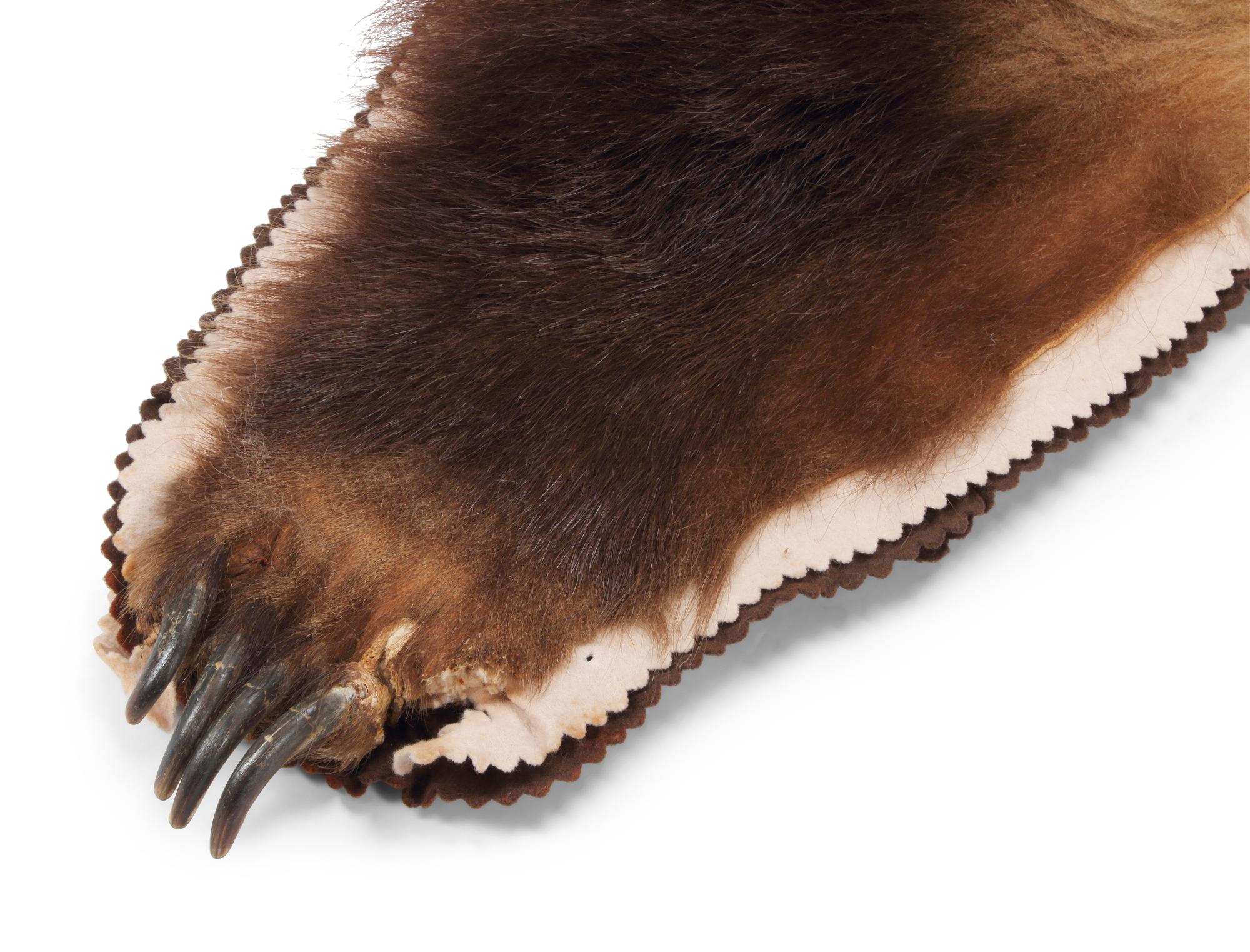 A Taxidermy Brown Bear Rug
