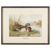 ALEXANDER POPE JUNIOR (AMERICAN 1849-1924) "BLACK DUCK" FROM UPLAND GAME BIRDS AND WATERFOWL OF THE UNITED STATES