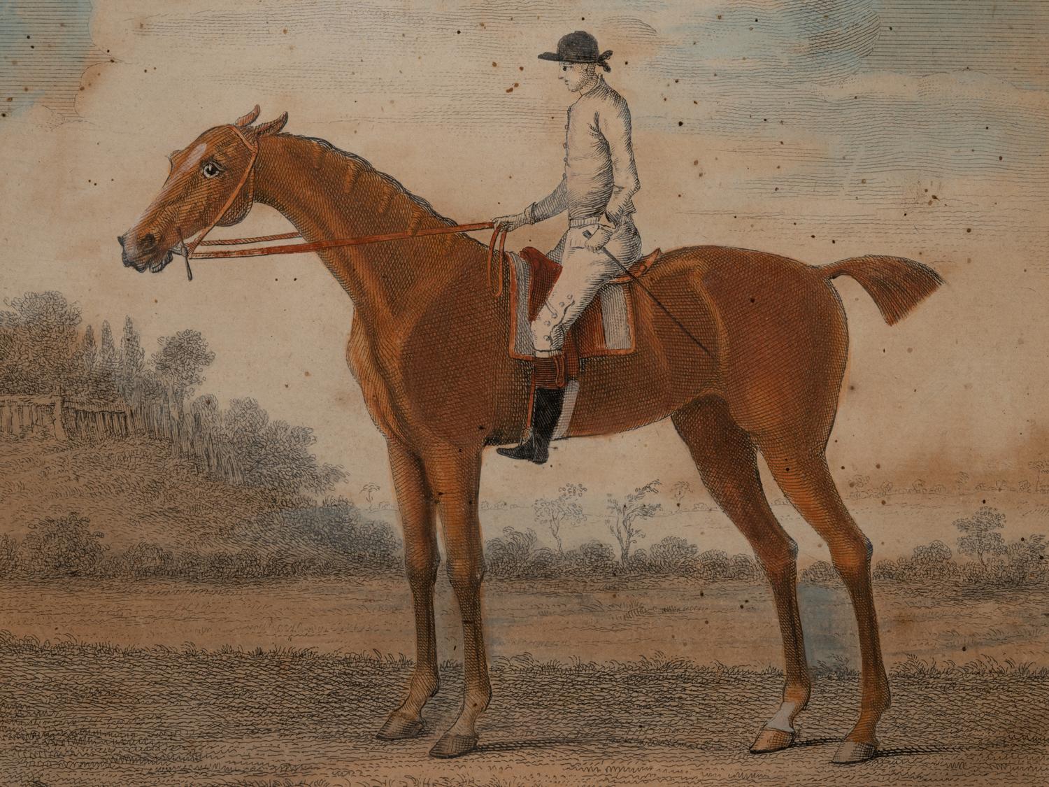Two Pairs of Hand Colored Engravings (17th/18th Century)