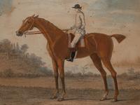 Two Pairs of Hand Colored Engravings (17th/18th Century)