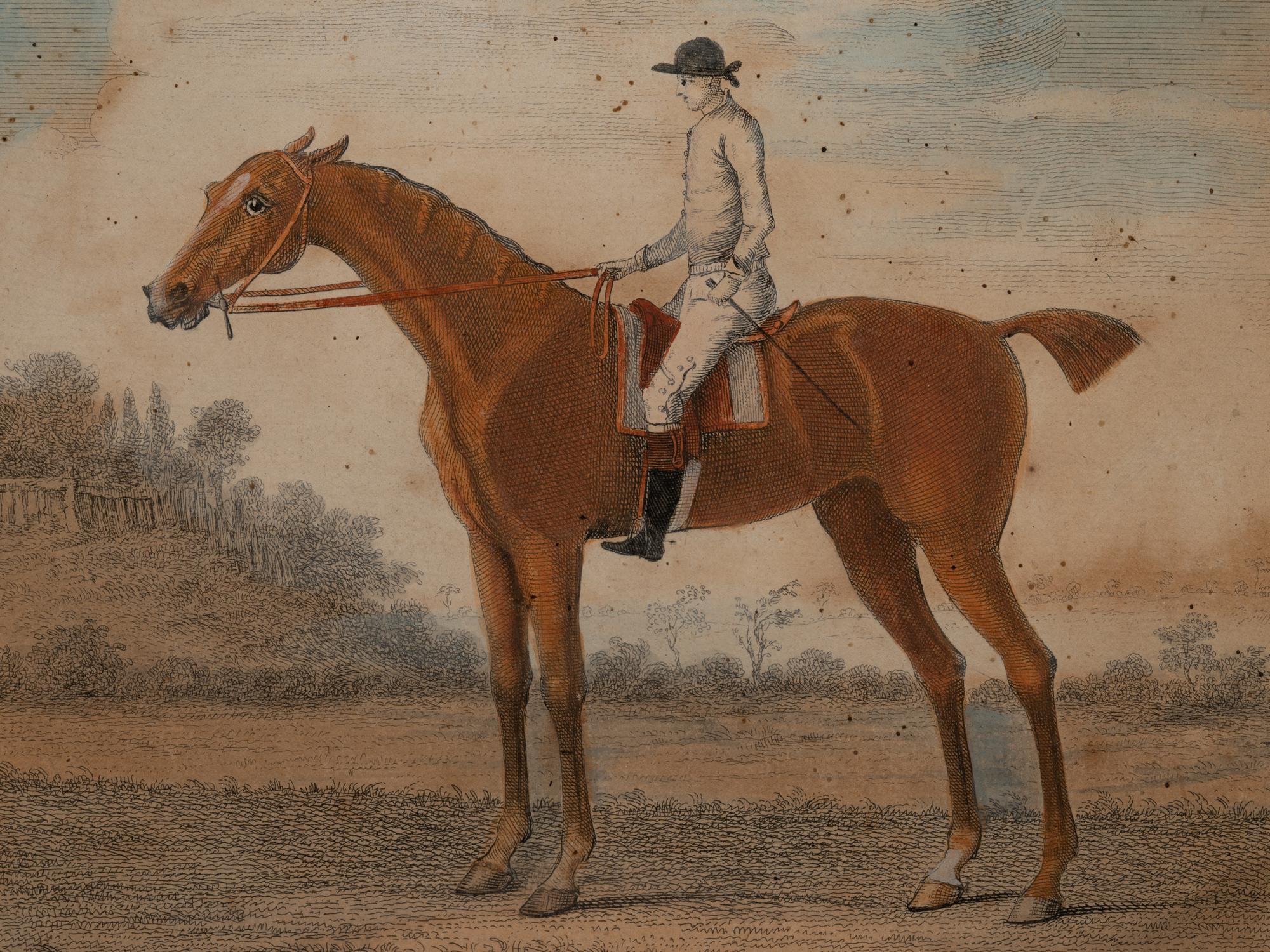 Two Pairs of Hand Colored Engravings (17th/18th Century)
