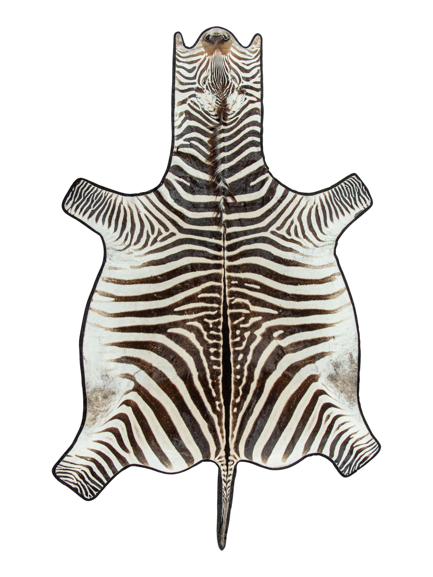 A Zebra Hide Rug