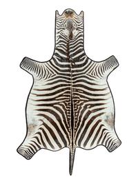 A Zebra Hide Rug