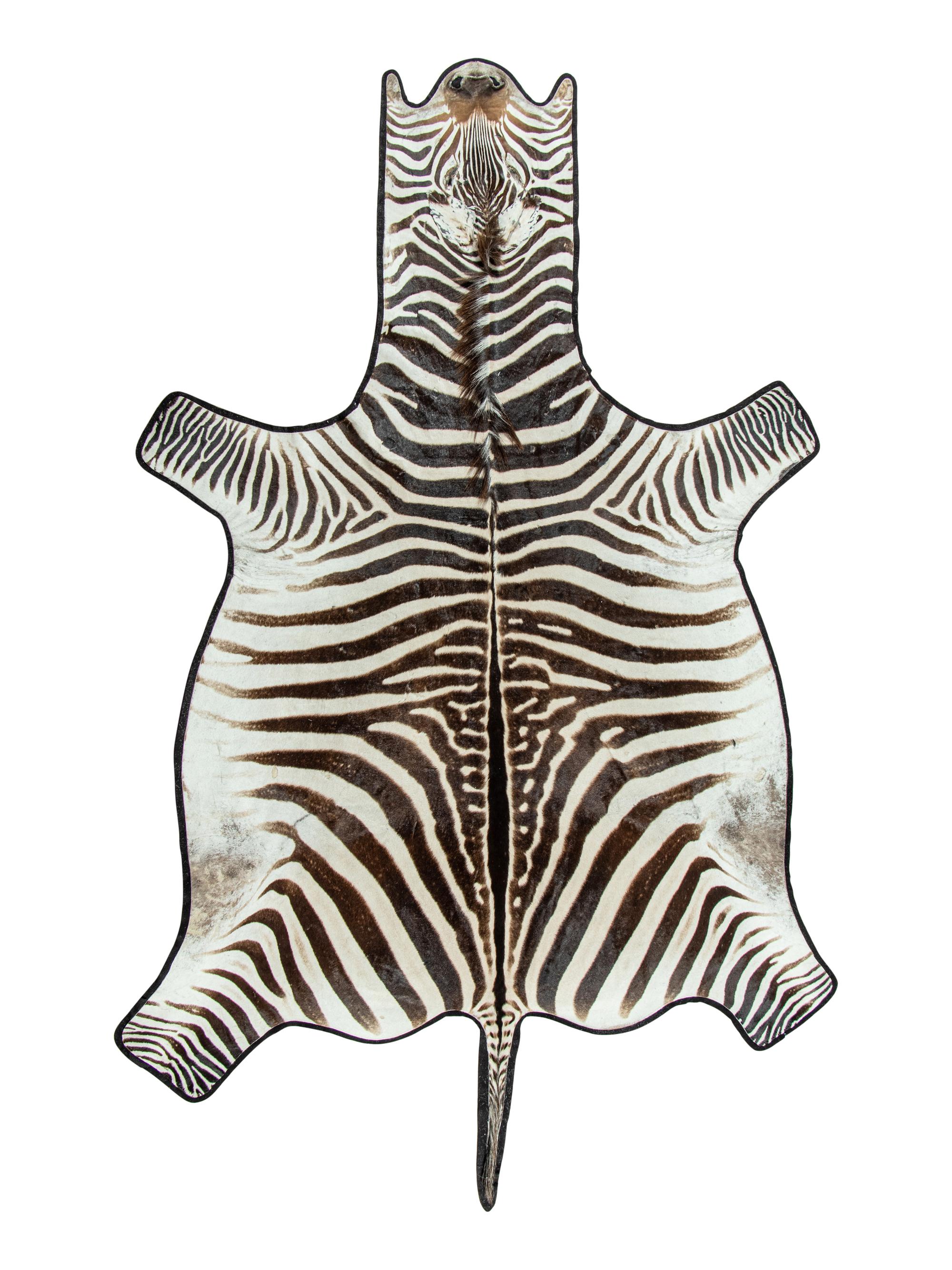 A Zebra Hide Rug