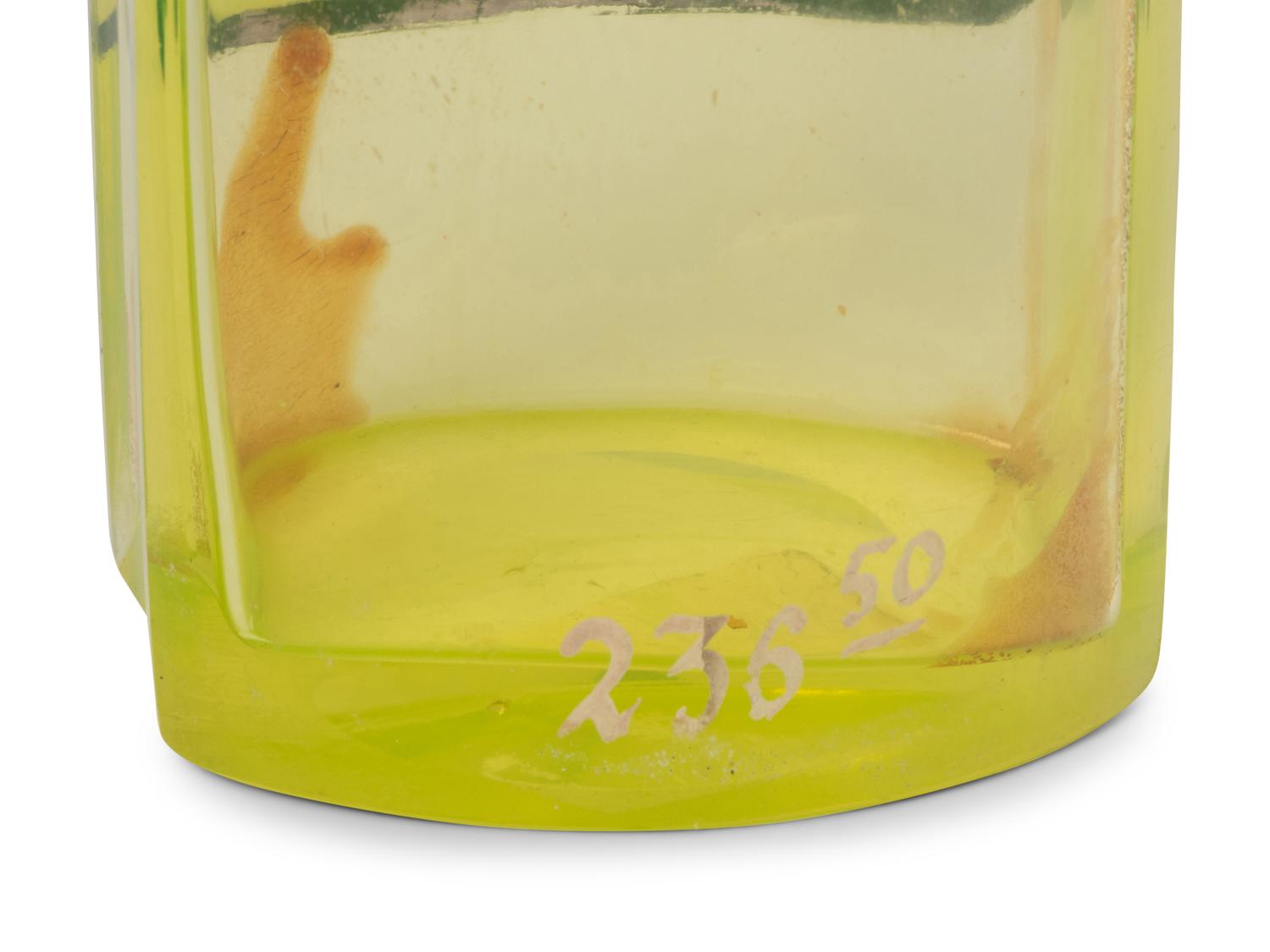A Group of Green Glass Apothecary Bottles