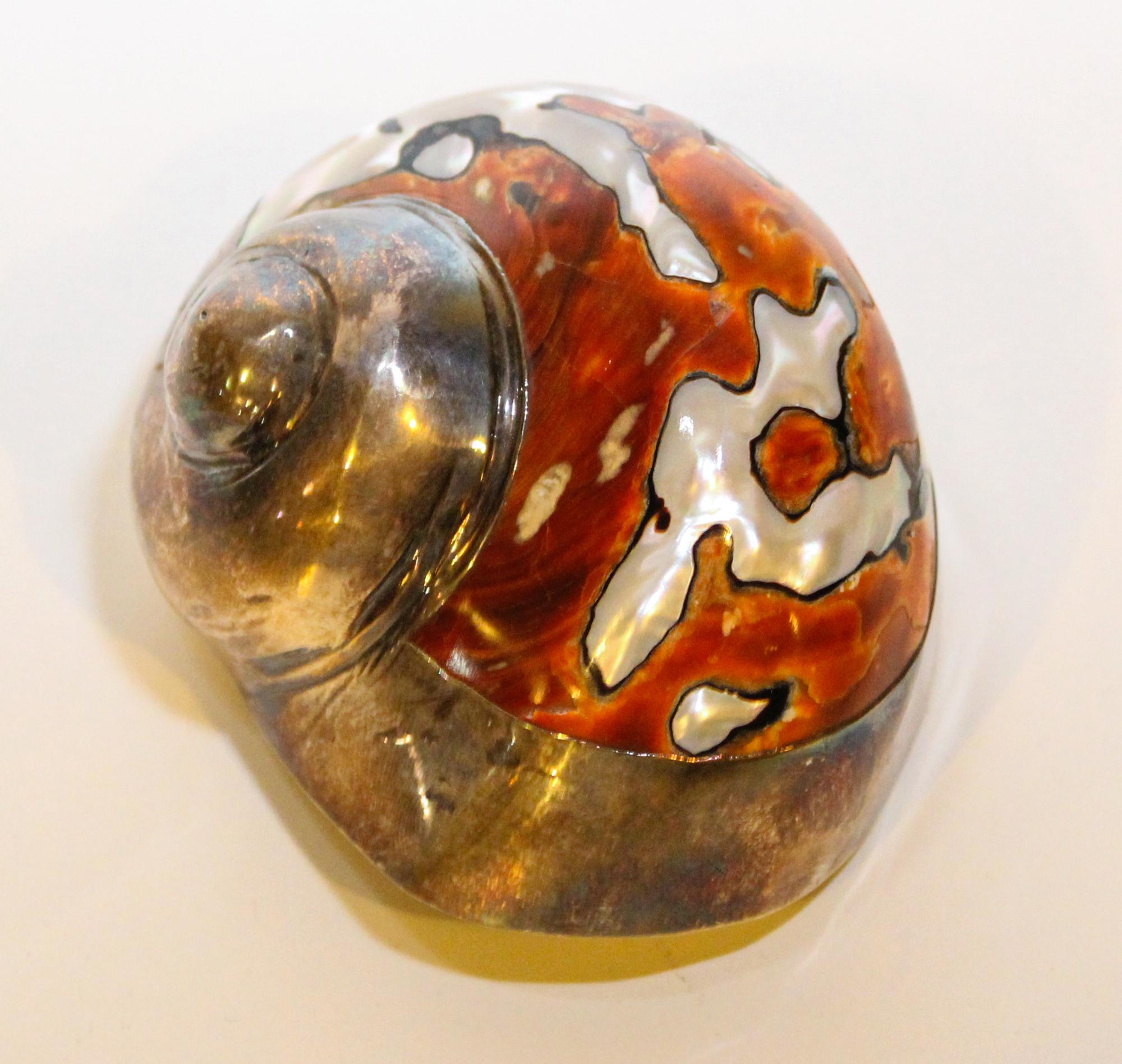 A Silver Mounted Shell. Width 3 inches.