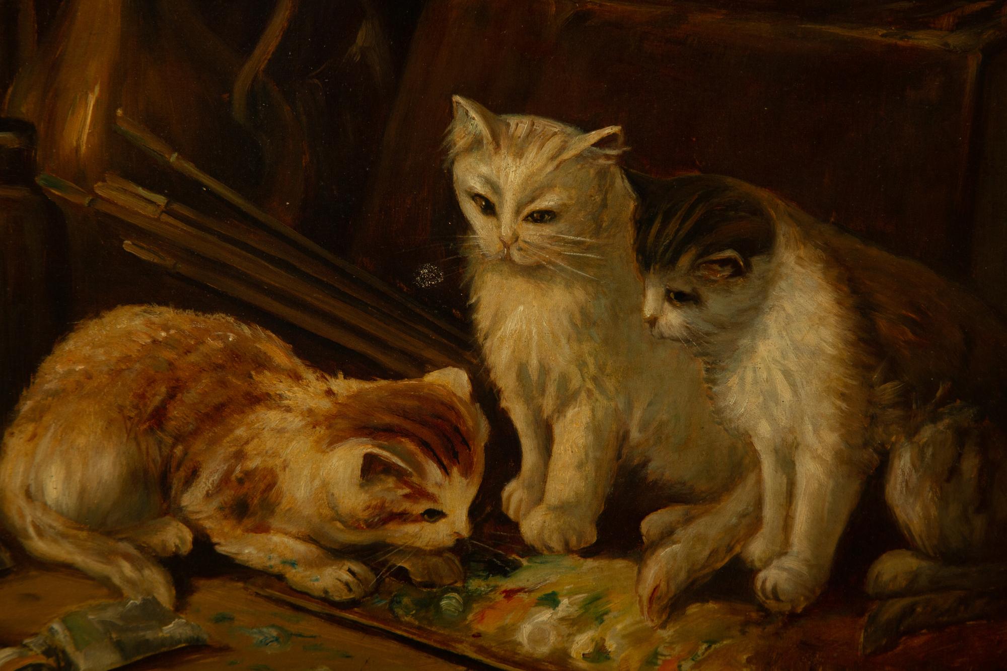 Curious Cats