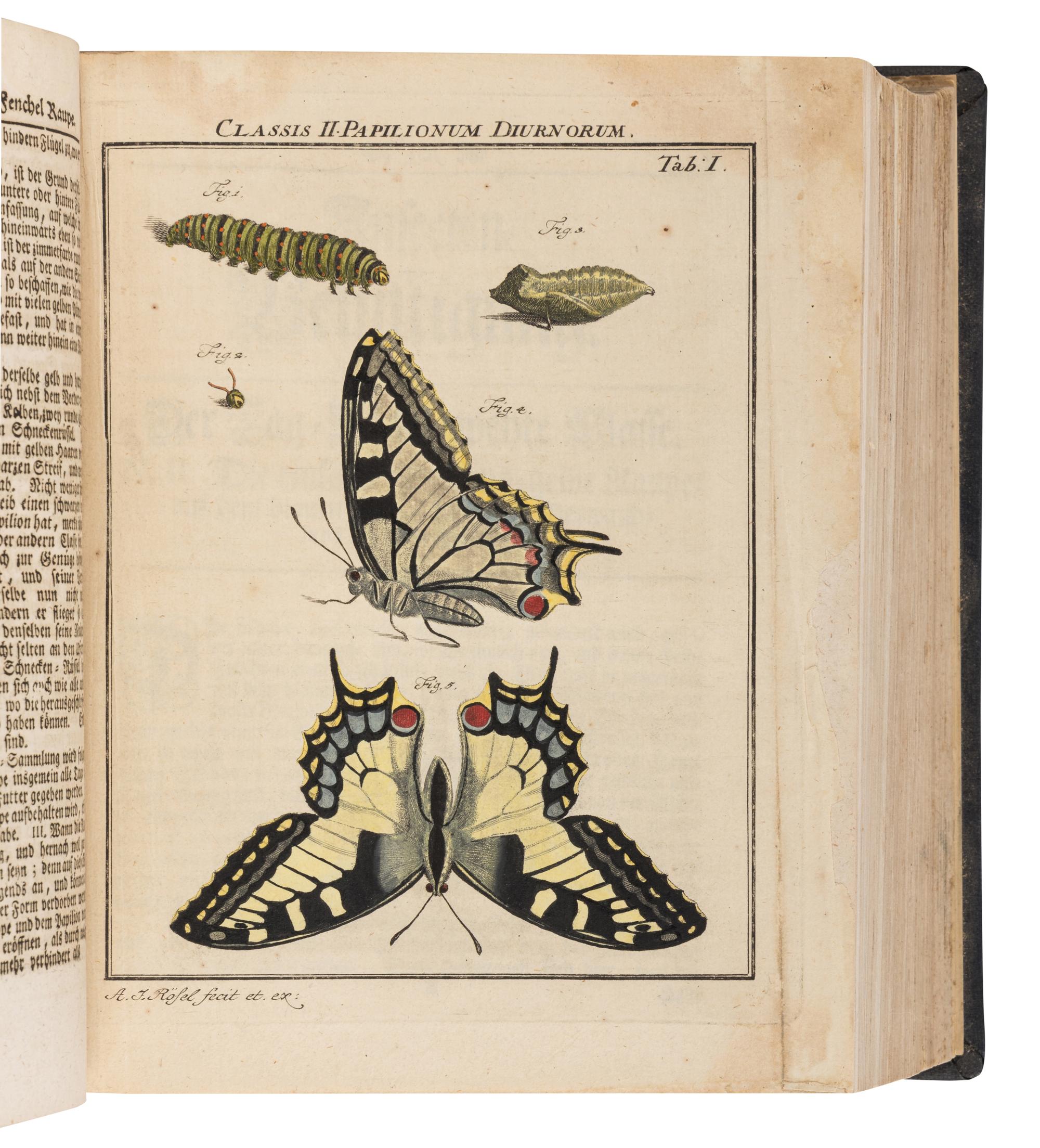 [NATURAL HISTORY.] ROSEL VON ROSENHOF, August Johann (1705-1759). Der Monatlich-Herausgegebenen Insecten Belustigung . Nuremberg: Johann Joseph Flesichmann, 1746-1761.