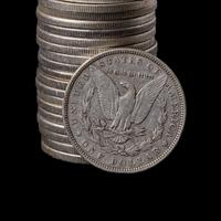 A Group of Twenty Morgan $1 Coins