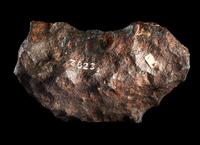 An Octahedrite Meteorite Fragment