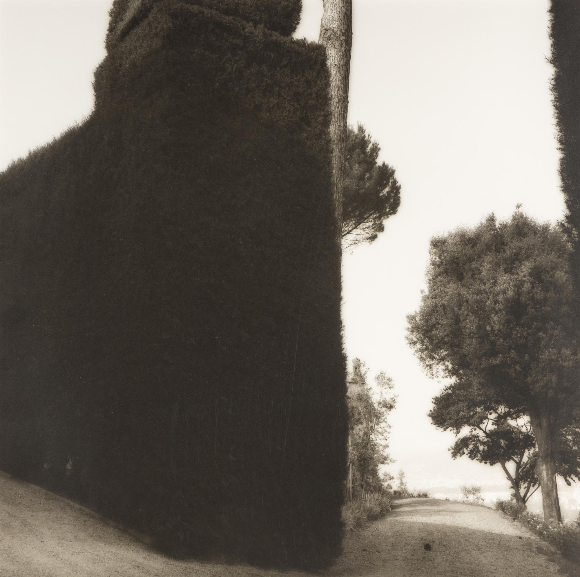 Topiaries and Planter, Knightshayes Court, Devon, England , 1991; Tree and Column, Ostia Antiqua, Italy , 1990; and Tree and Hedge, Villa Gamberaia, Settignano, Italy , 1990 (Three Works)