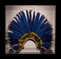A Juruna Feather Headdress