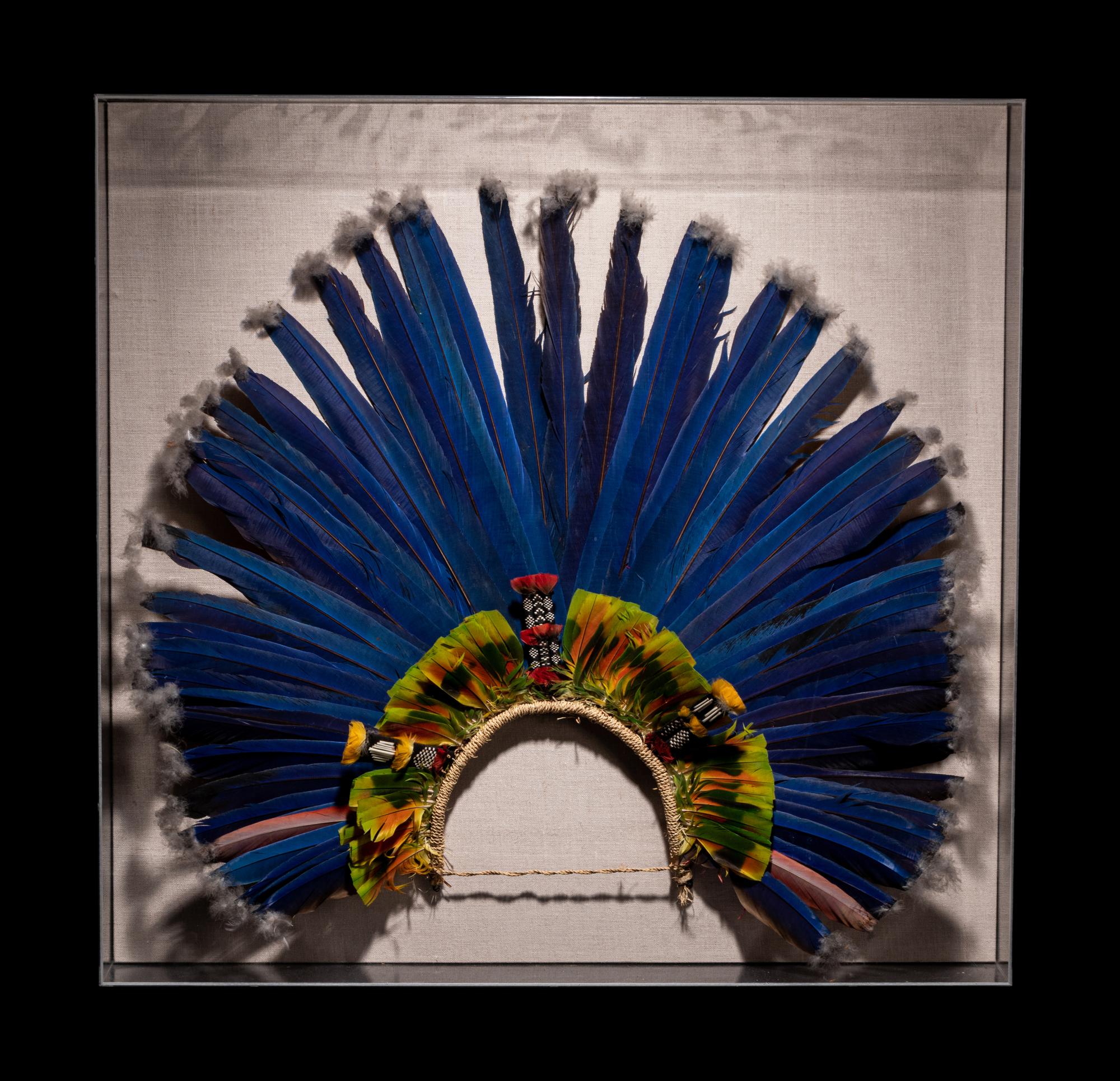 A Juruna Feather Headdress