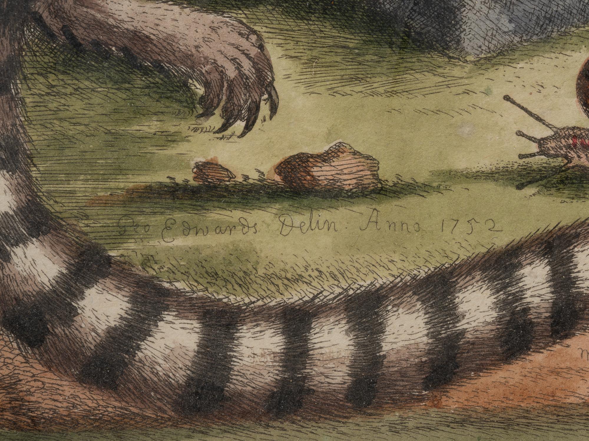A Group of Six Continental Engravings Depicting Primates (Second Half 19th Century)