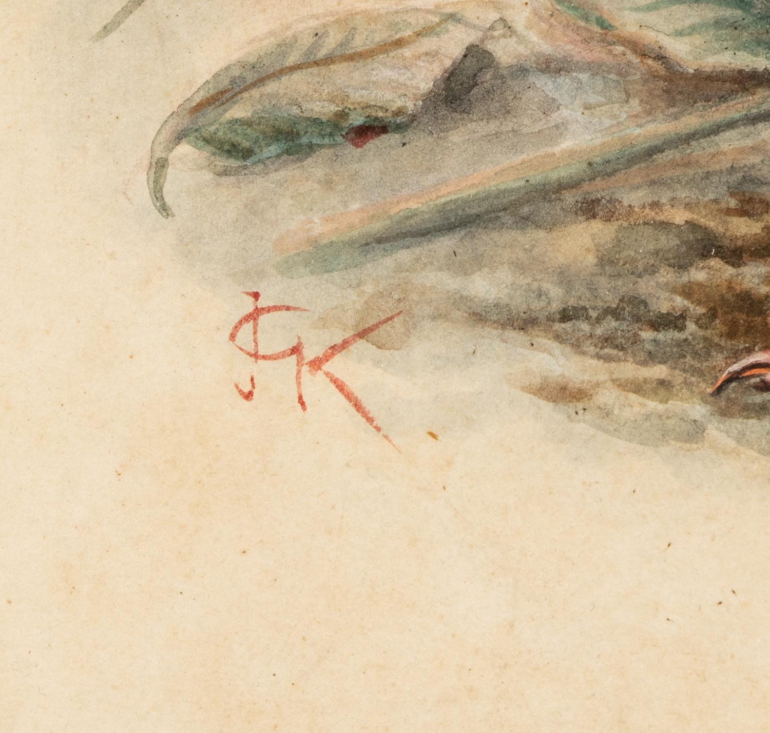 A Study of a Partridge