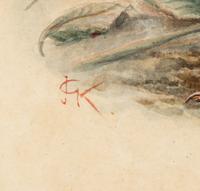 A Study of a Partridge