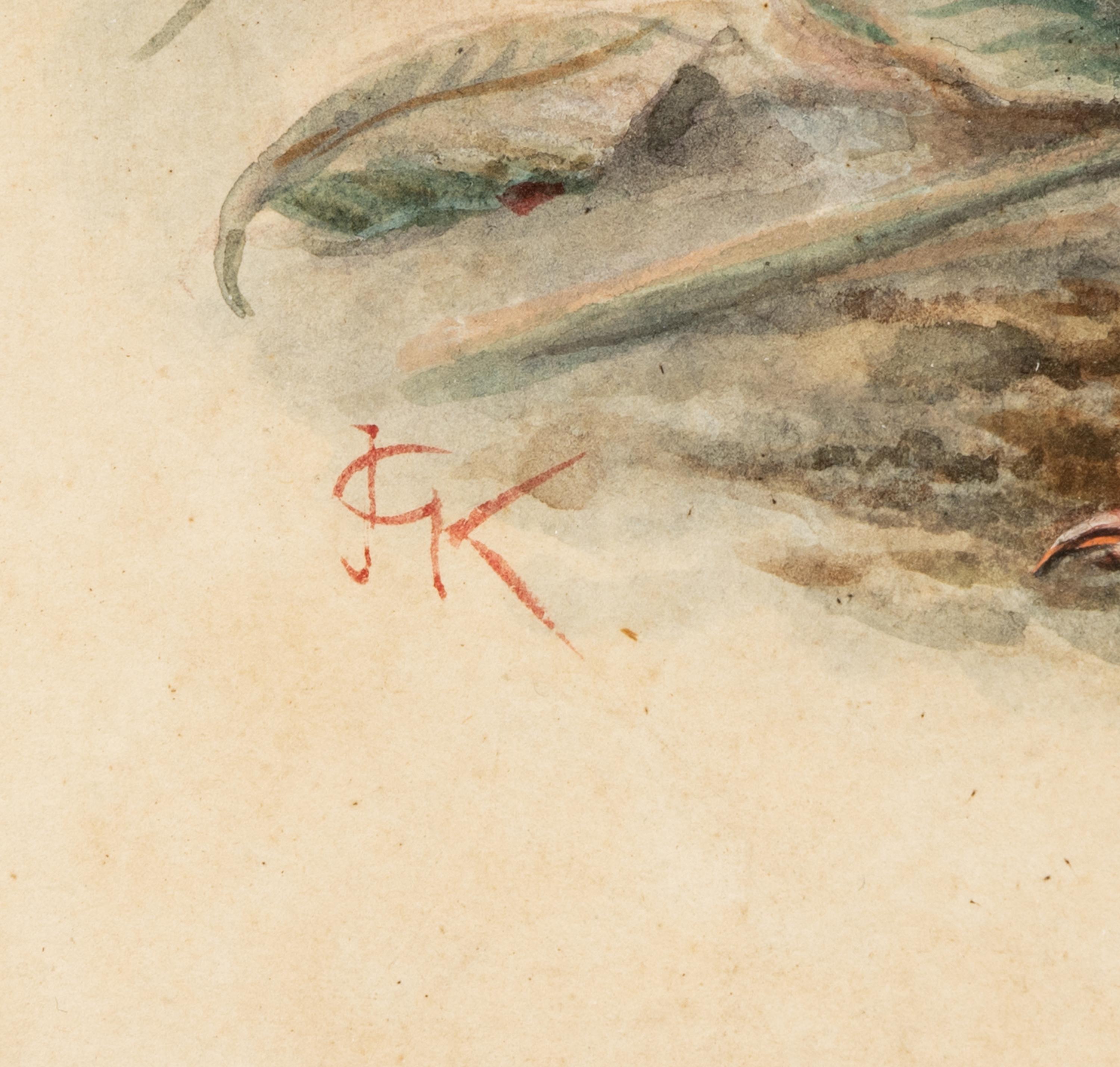 A Study of a Partridge