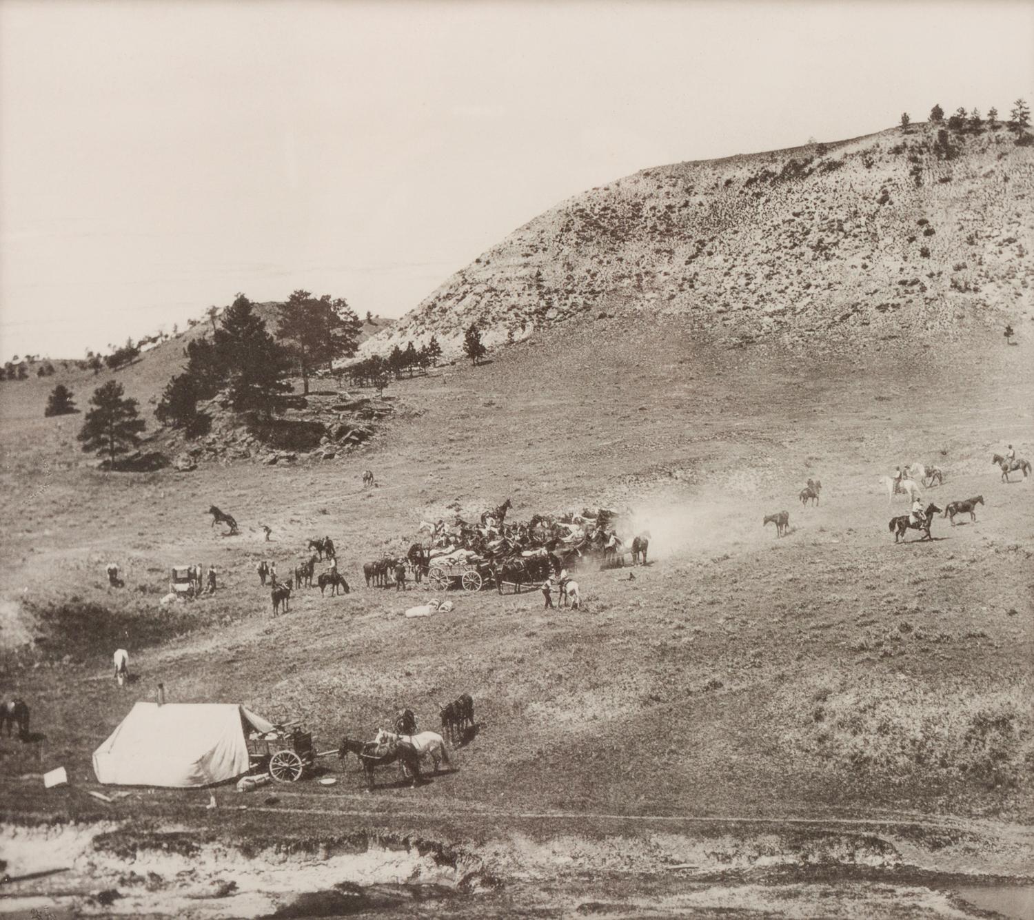 Group of Four Photographs