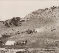 Group of Four Photographs