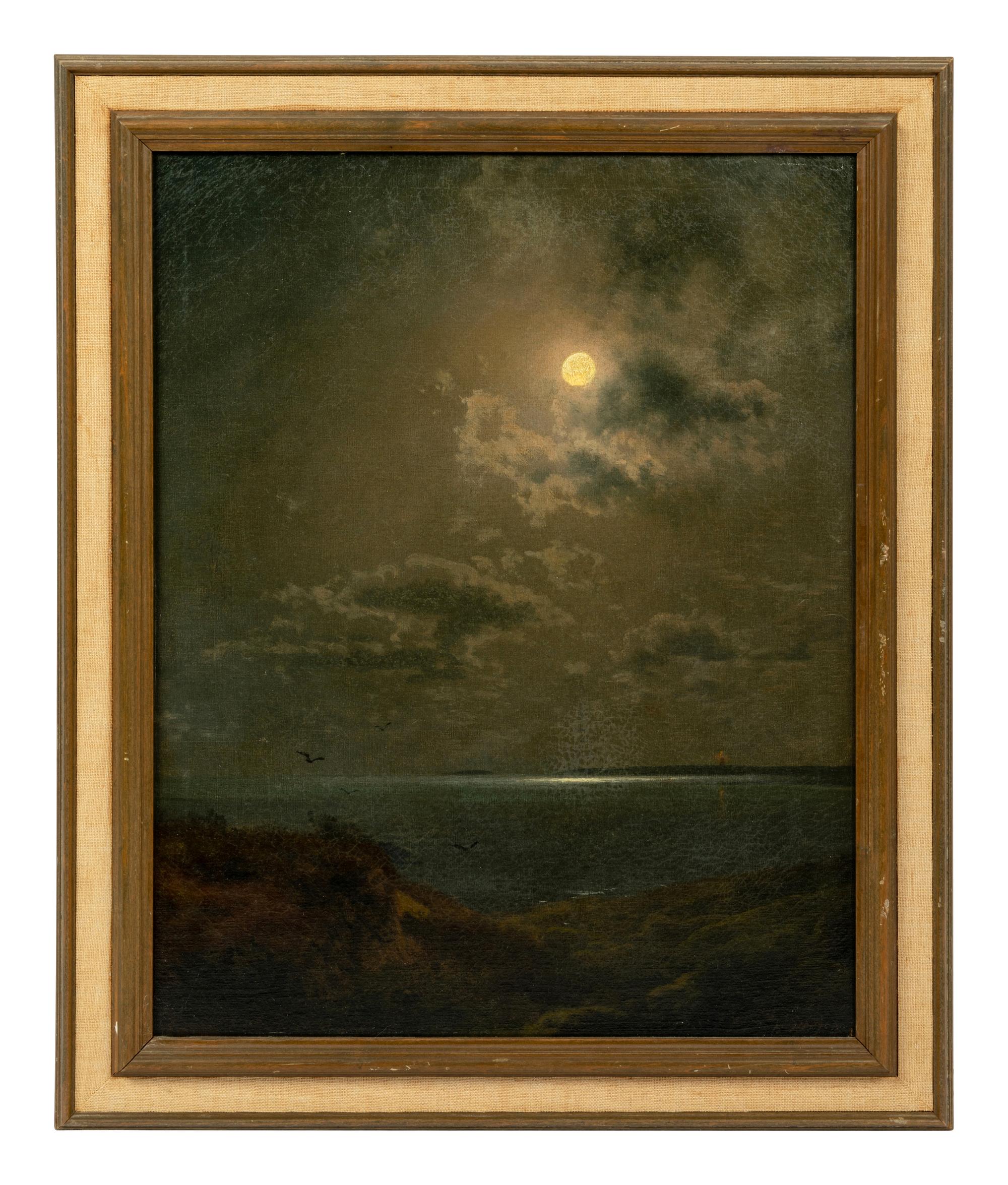 Moonlit Scene