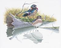 Richard Sloan, (American, 1935-2007), Ducks on a Log in Pond