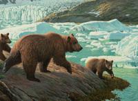 Glacier Bay Bears , 1995