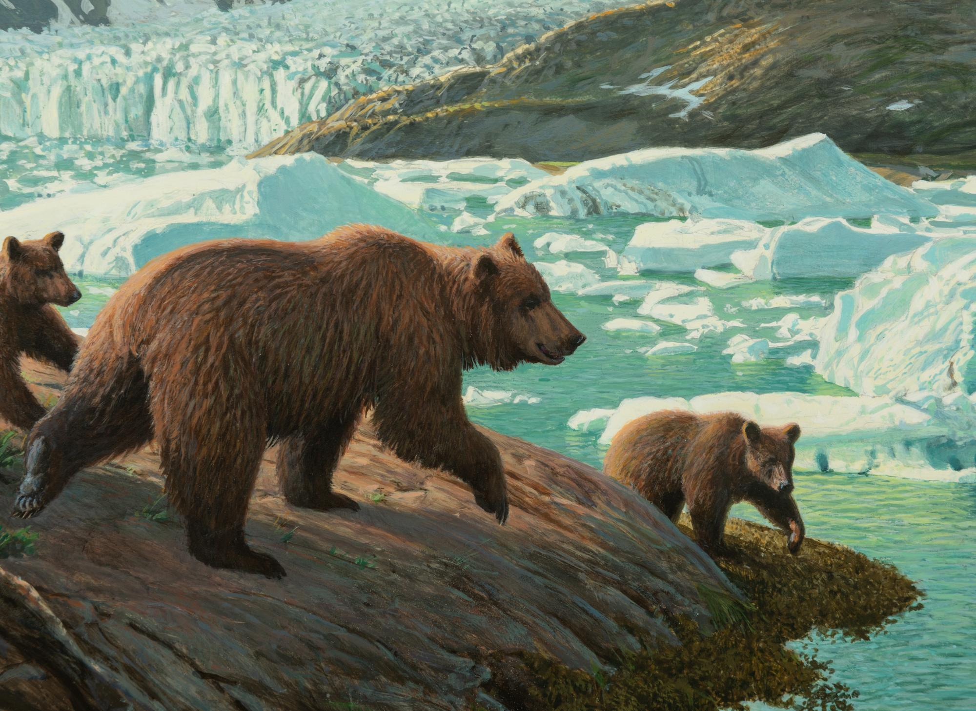 Glacier Bay Bears , 1995