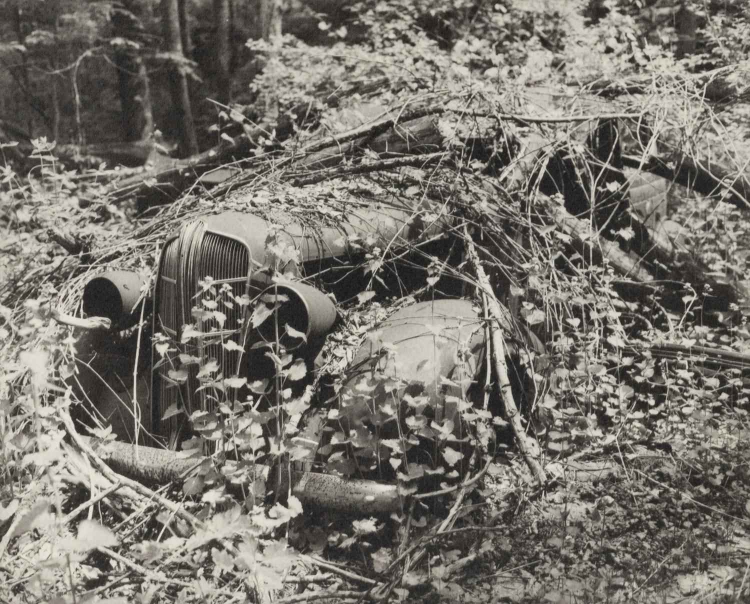 A group of fourteen photographs