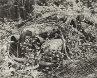 A group of fourteen photographs