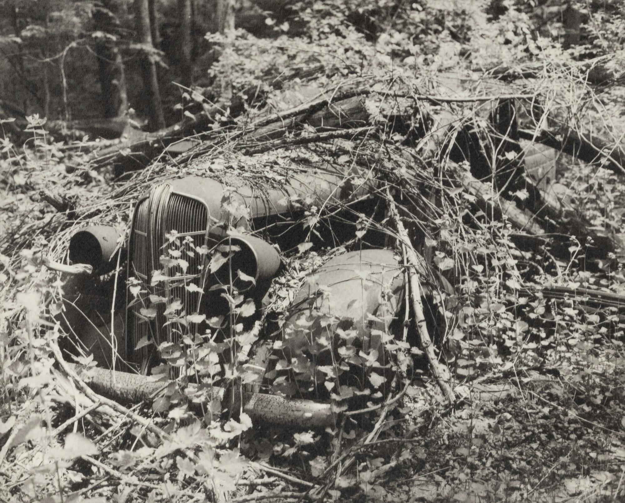 A group of fourteen photographs