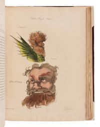 BARRETT, Francis (ca 1770-80, d. 1802 or later). The Magus, or Celestial Intelligencer . London: for Lackington, Allen, and Co., 1801 [but 1875].