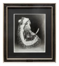 Cheyenne , 1993