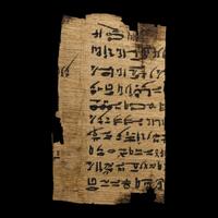 Two Coptic Papyri Fragments