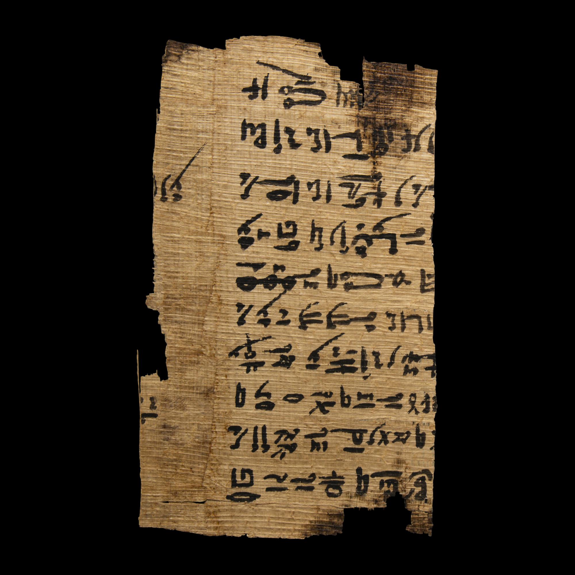 Two Coptic Papyri Fragments