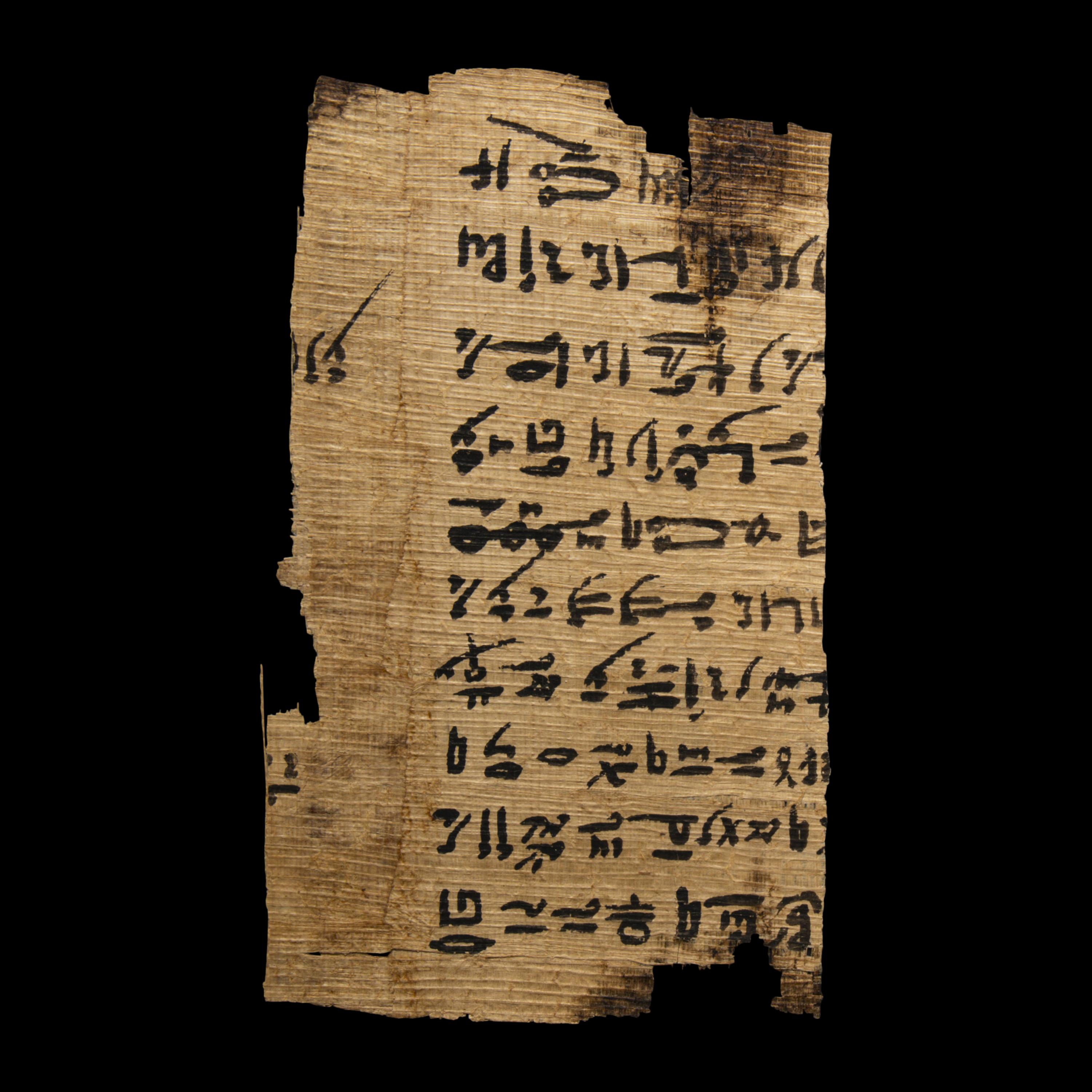 Two Coptic Papyri Fragments