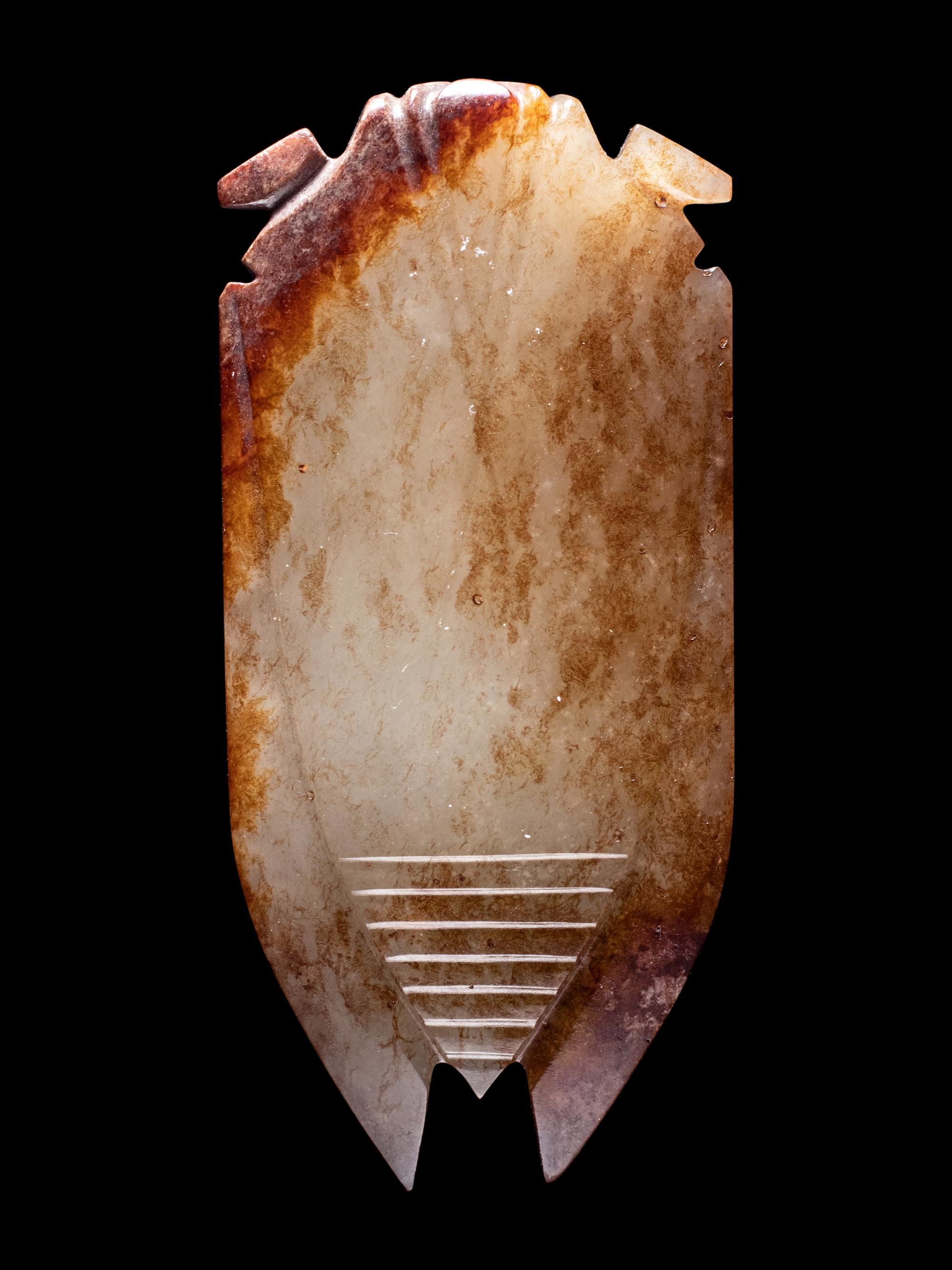 A Russet and Celadon Jade Cicada