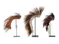 Plains Hair Roaches