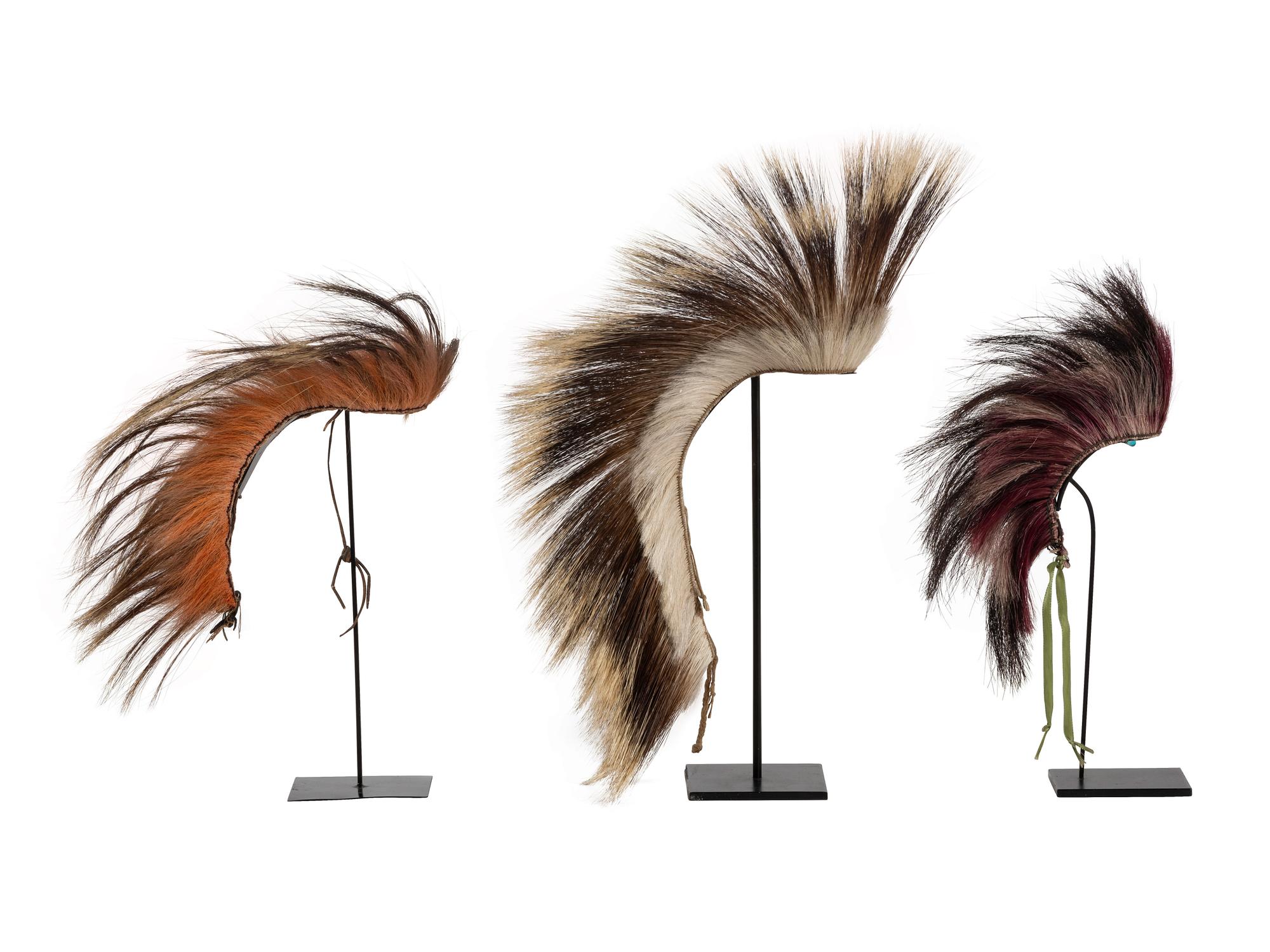 Plains Hair Roaches