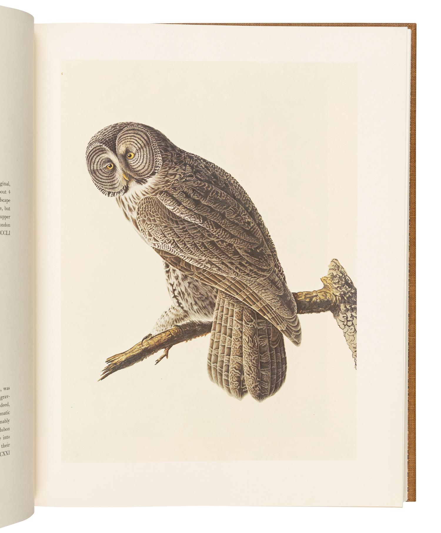 AUDUBON, John James (1785-1851). The Original Water-color Paintings... for The Birds of America . Marshall B. Davidson, introduction. New York: American Heritage Publishing Co., Inc., 1966.