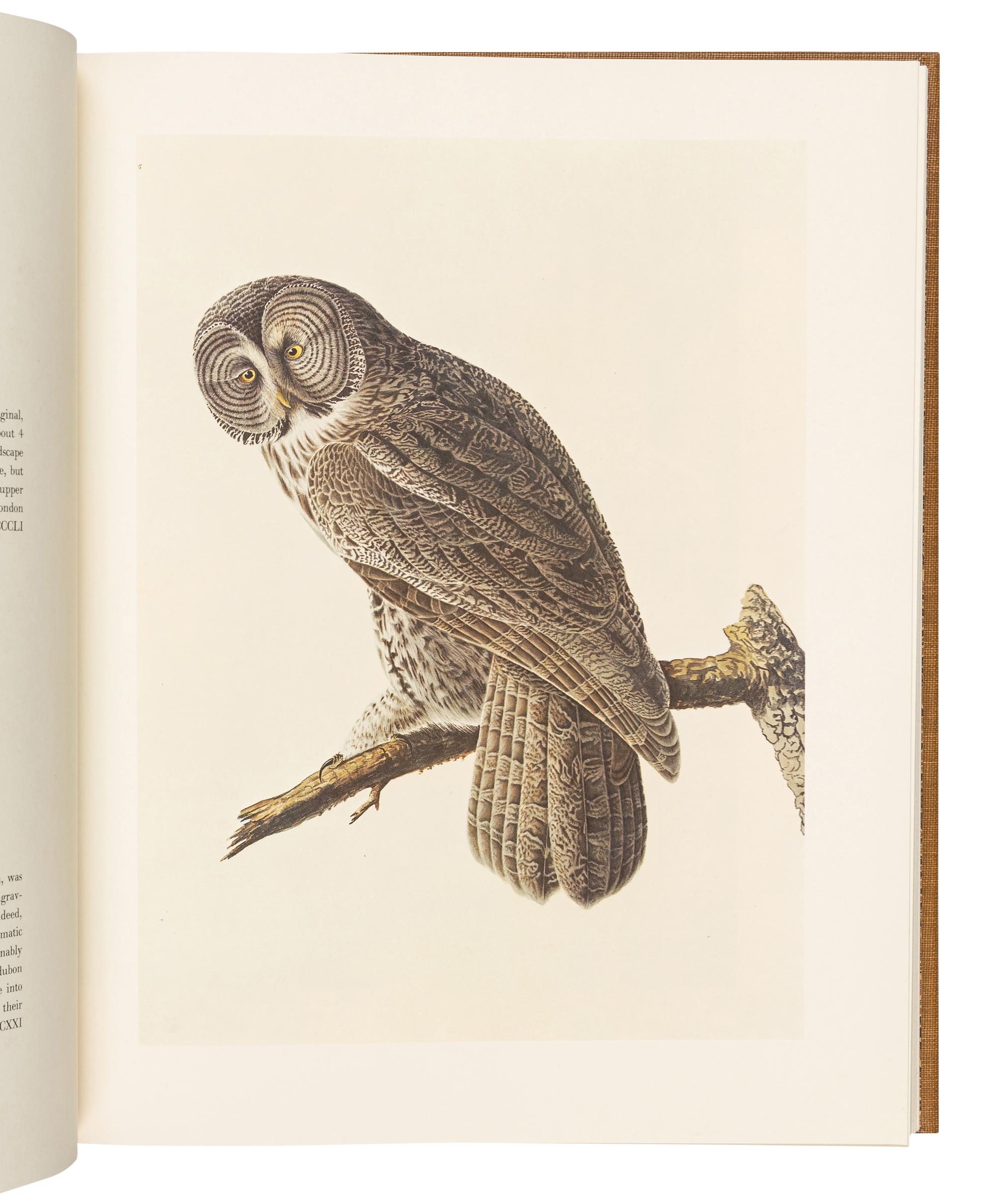 AUDUBON, John James (1785-1851). The Original Water-color Paintings... for The Birds of America . Marshall B. Davidson, introduction. New York: American Heritage Publishing Co., Inc., 1966.