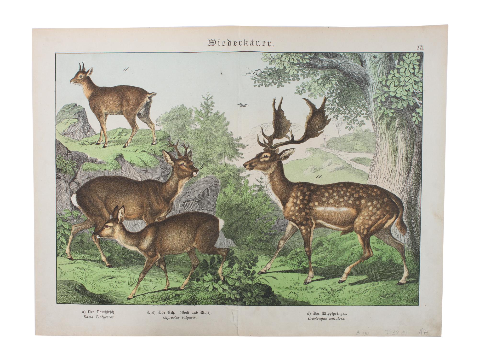 Five Hand Colored Game Prints 11 1/2 x 15 1/2 inches (largest) — 19TH CENTURY