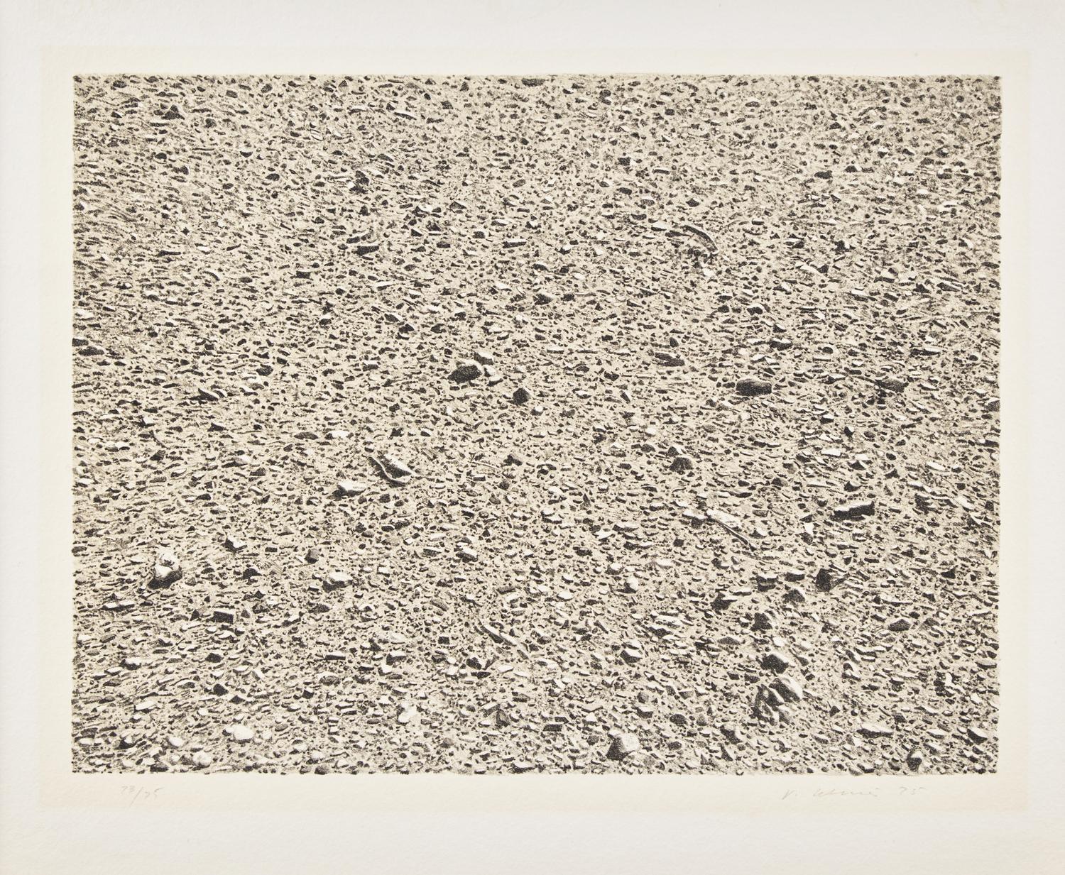 Desert (from Untitled Portfolio ), 1975