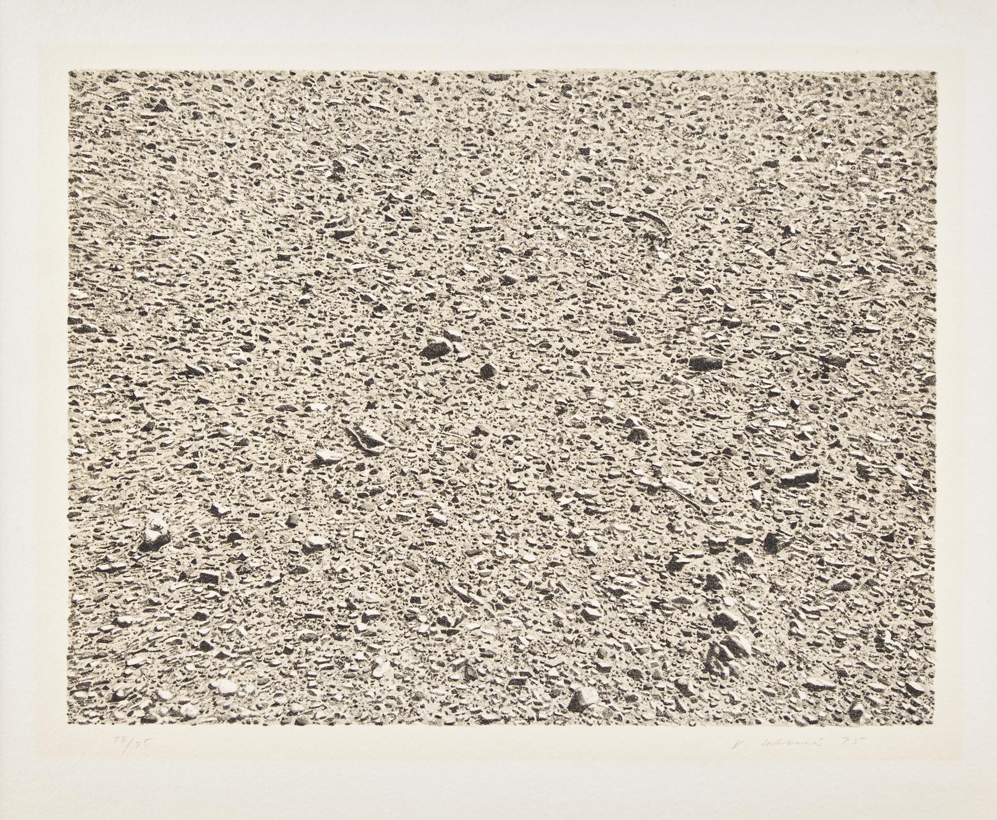 Desert (from Untitled Portfolio ), 1975