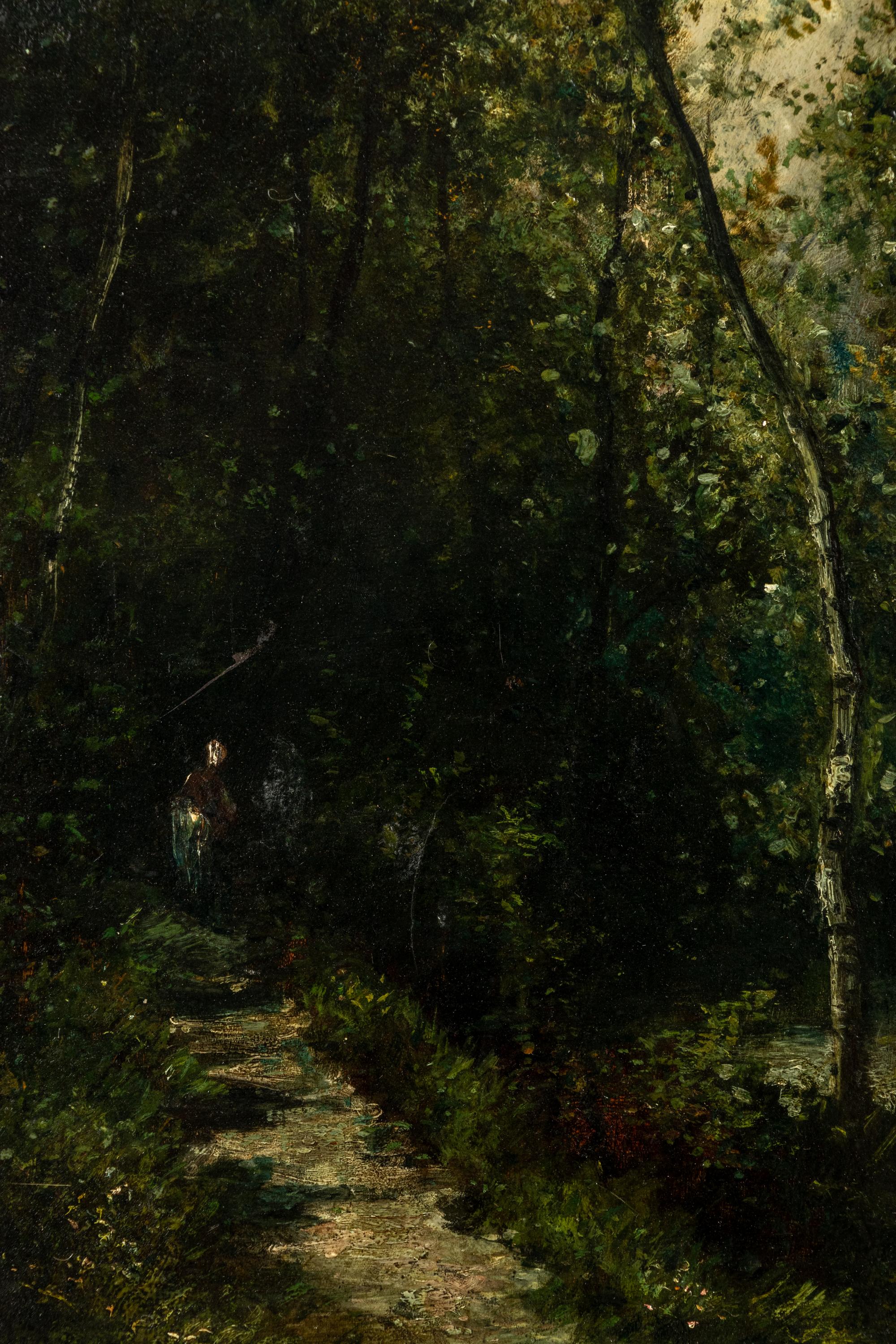 Forest Scene